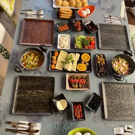 Nezis'in Konagi Hotel