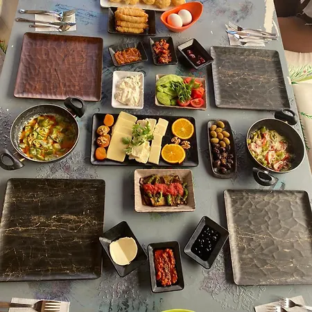 Nezis'in Konagi Hotel