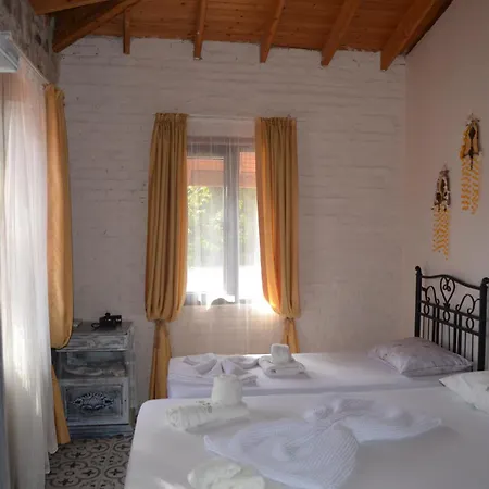 Nezis'in Konagi فندق Ayvalı