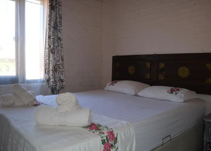 Nezis'in Konagi Ayvalı