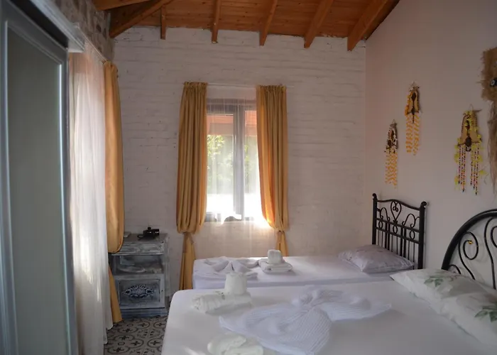 Nezis'in Konagi فندق Ayvalı